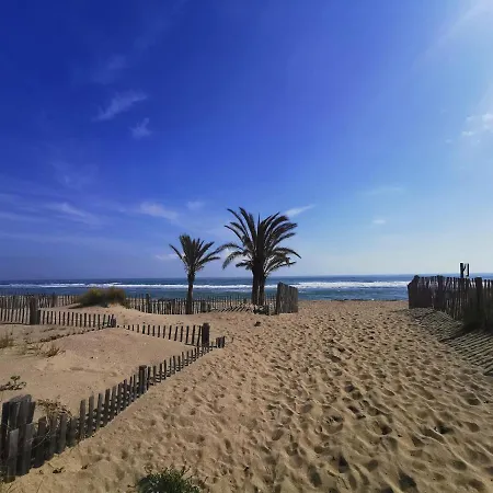 Soleil Levant 2 - En Bord De - Superbe Cosy - Acces Direct - Proche Commerces Et Animations * Le Barcarès