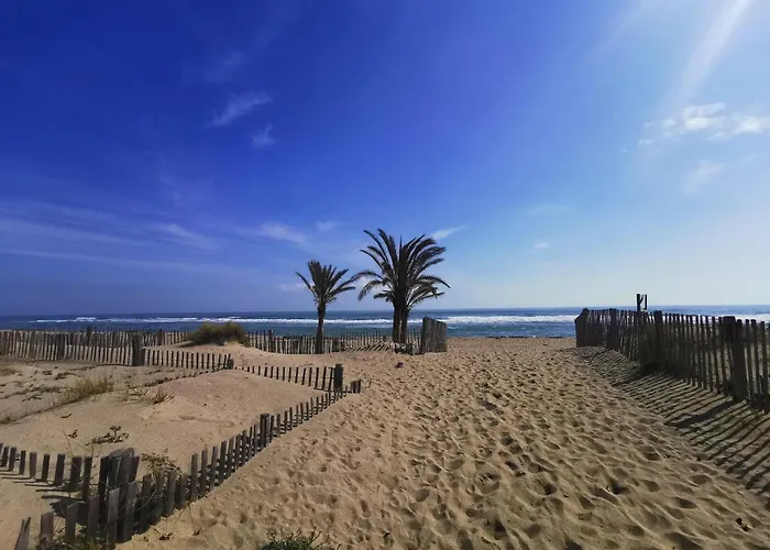 Soleil Levant 2 - En Bord De - Superbe Cosy - Accès Direct - Proche Commerces Et Animations * Le Barcarès